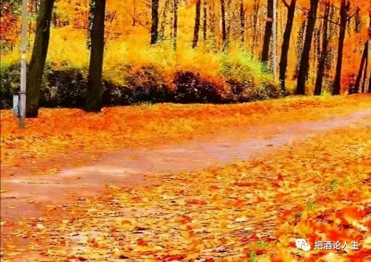 做人如果没有梦想那跟咸鱼有什么区别图片,做人如果没有梦想那跟咸鱼有什么分别