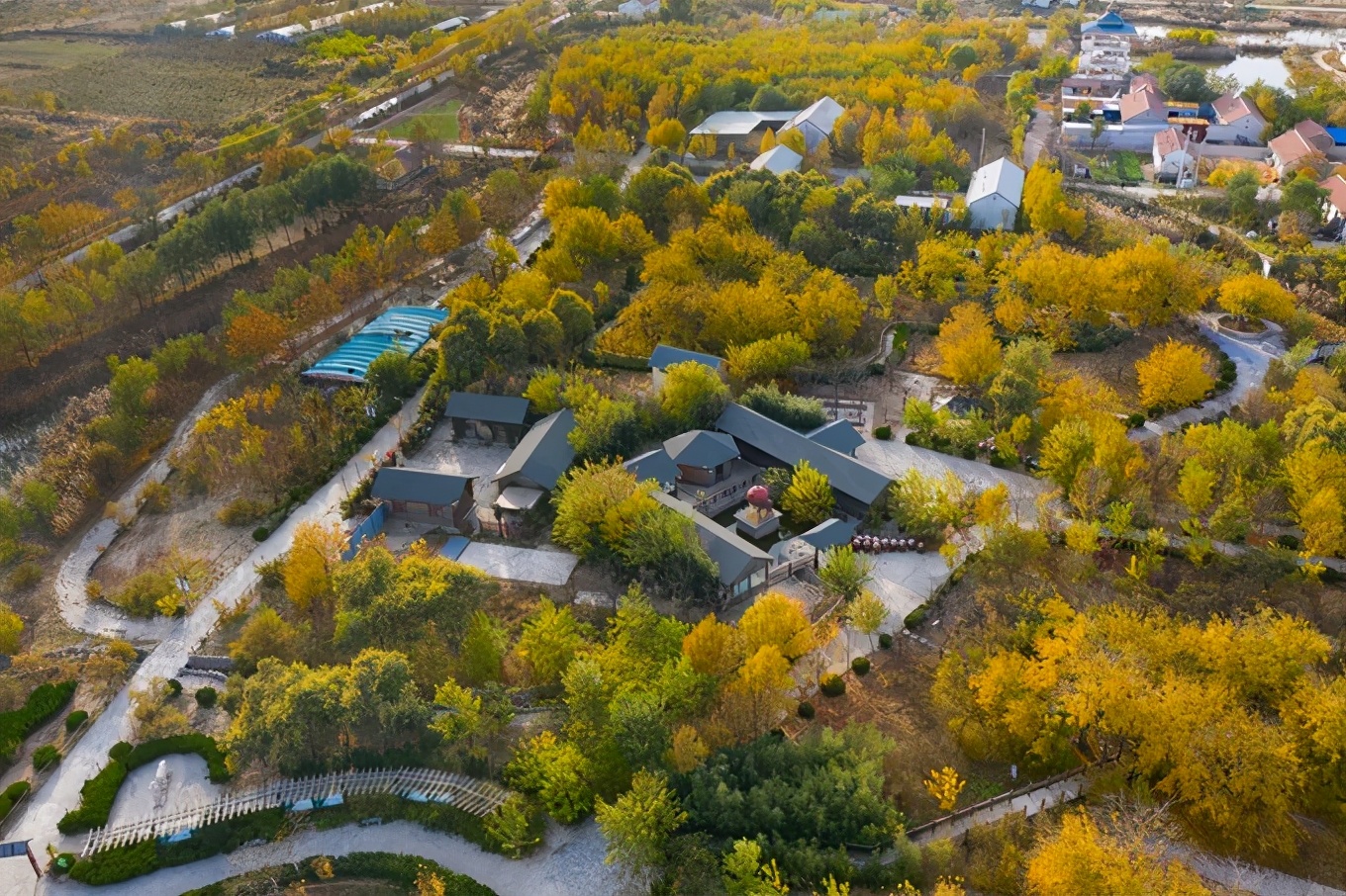 滨州有冬枣吗,产自哪里的冬枣最好吃