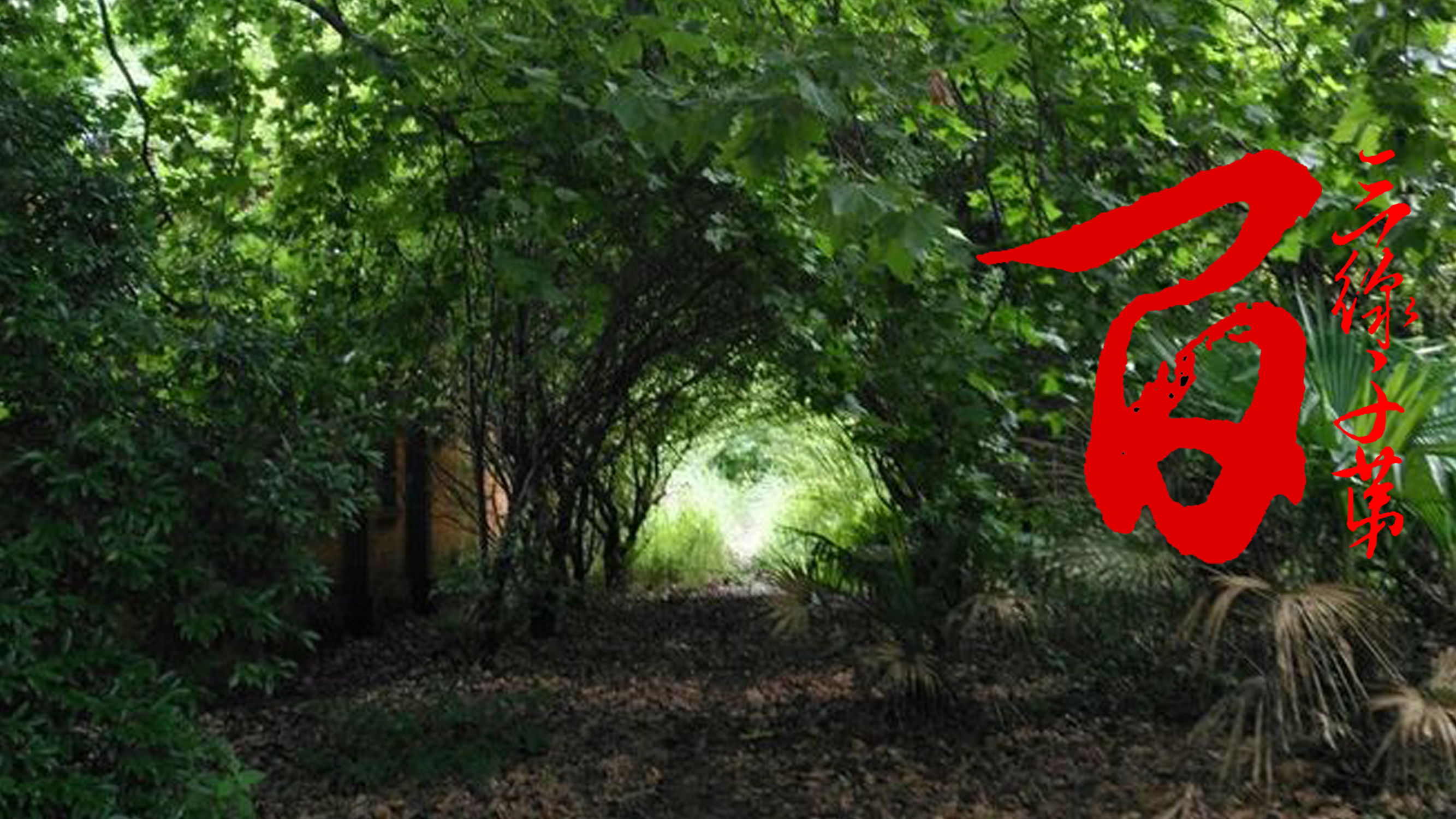 三线访谈：煤机厂，遗忘在乌蒙山中的云南三线厂记忆｜曲靖·马龙