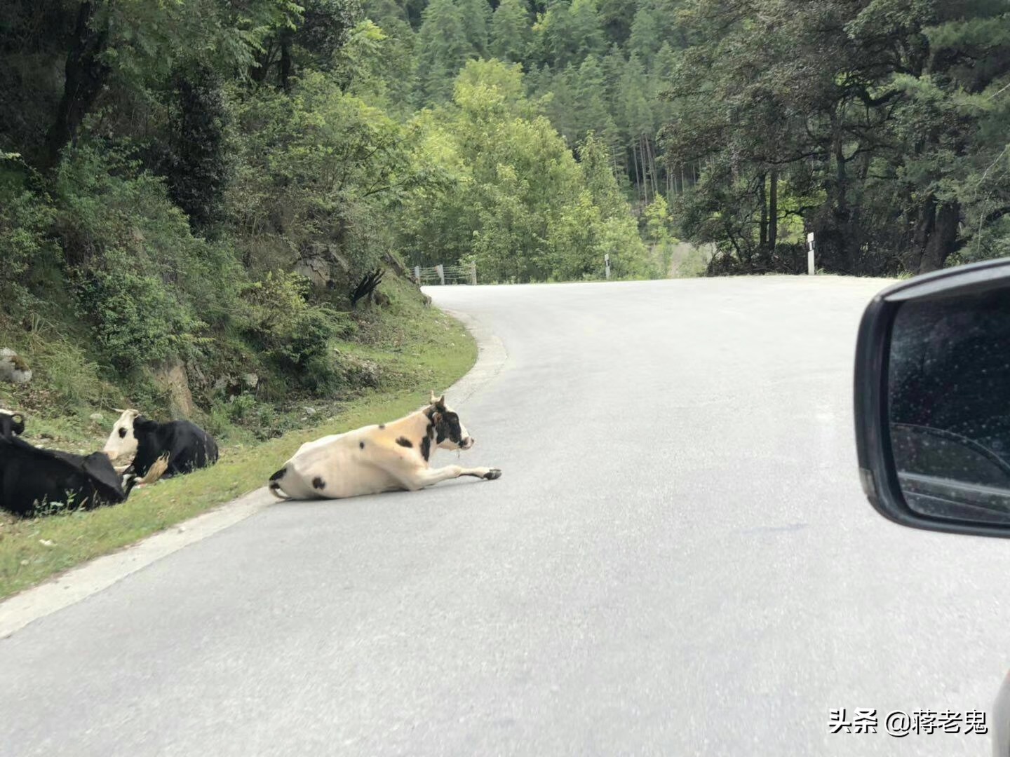 带着老婆，老婆闺蜜，大姨子和小姨子一起单车*藏西**自驾游（完）