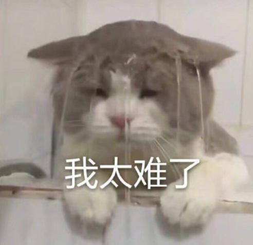 这才爆红一年就这么能“装”了?3w的包一背我都认不出来了…