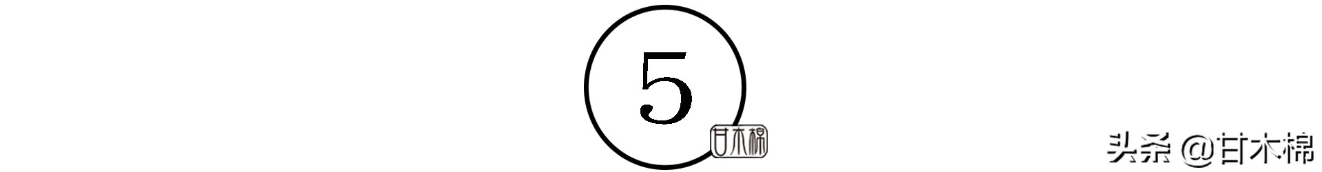 童年野果子,儿时的野果子总让人回味无穷