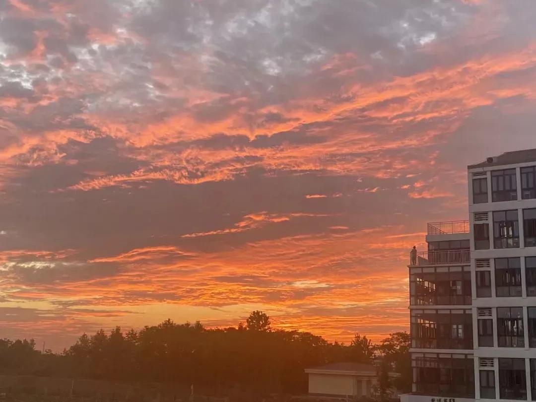 安徽省合肥师范学院2024招生简章,安徽省合肥师范学院今年投档线