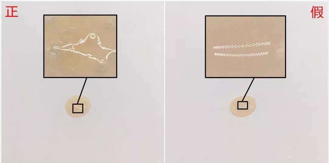 怎样分辨雅诗兰黛c20的真假,如何辨别真假雅诗兰黛口红340
