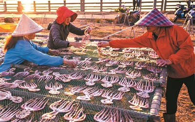 海南淡晒墨鱼干,晒的墨鱼干好吃吗