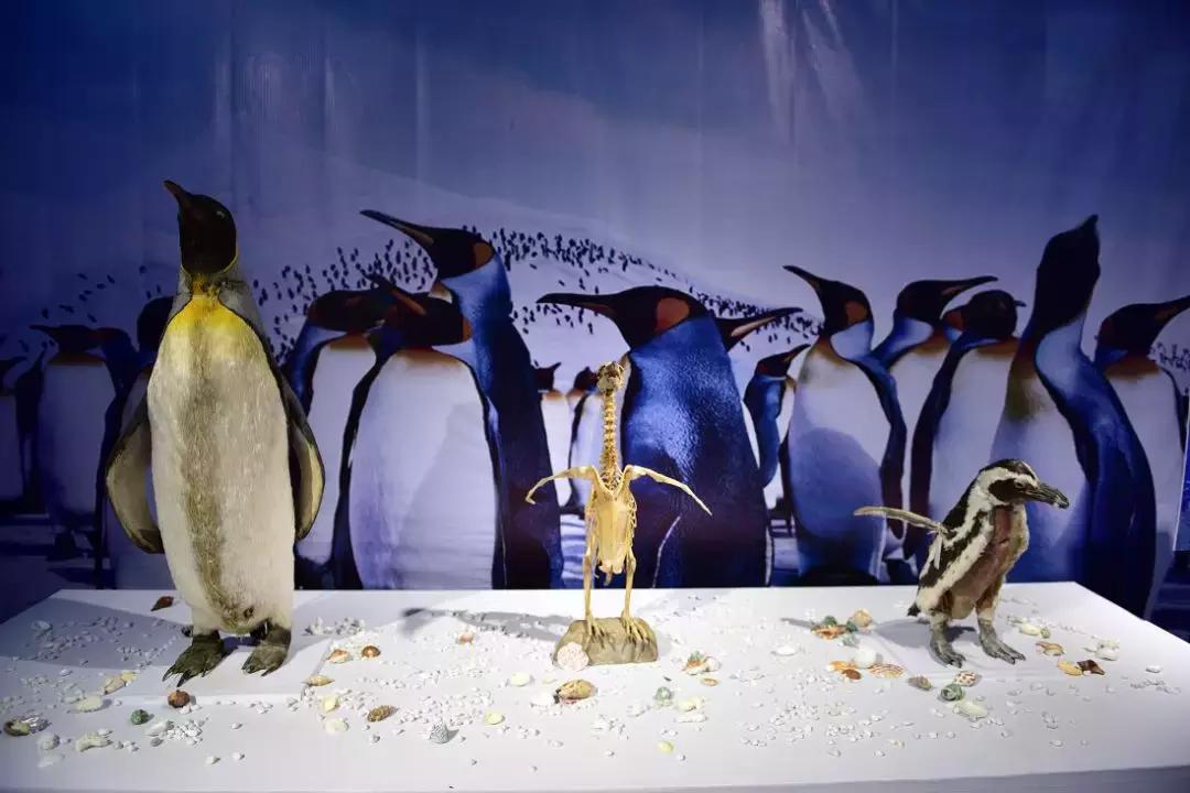 一些武汉的好消息,好消息武汉地铁1号线