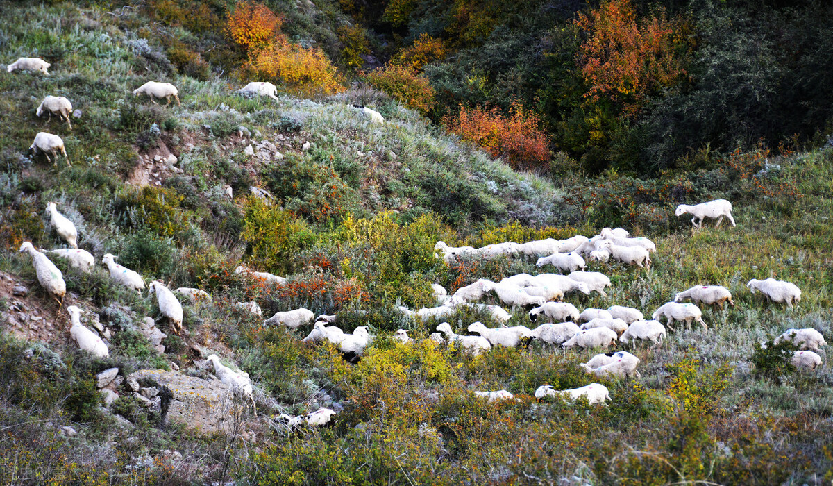 清代静乐尹氏家族探源及风土人情（下）