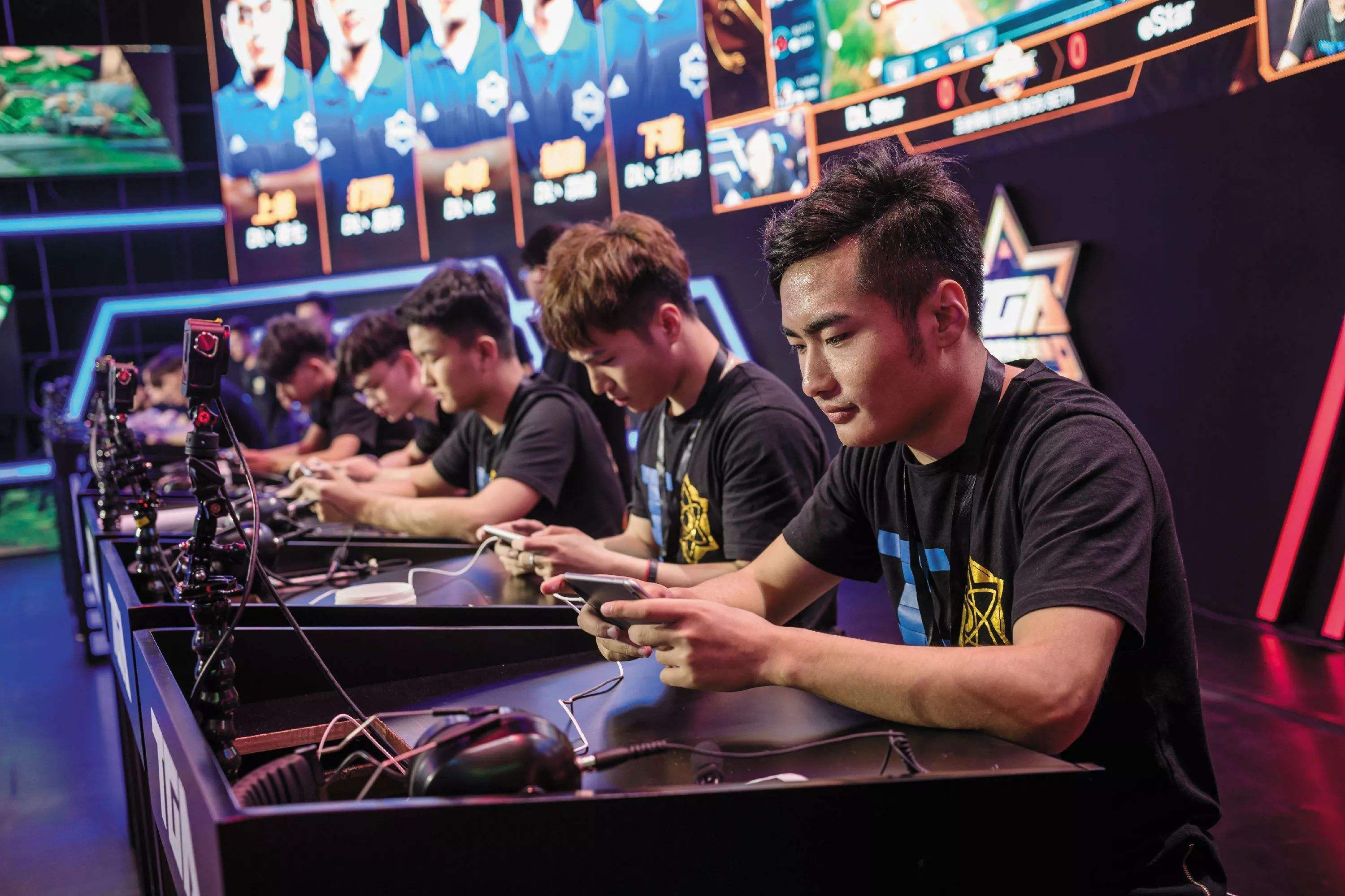 艺考志愿通小程序,艺考志愿通辅助系统