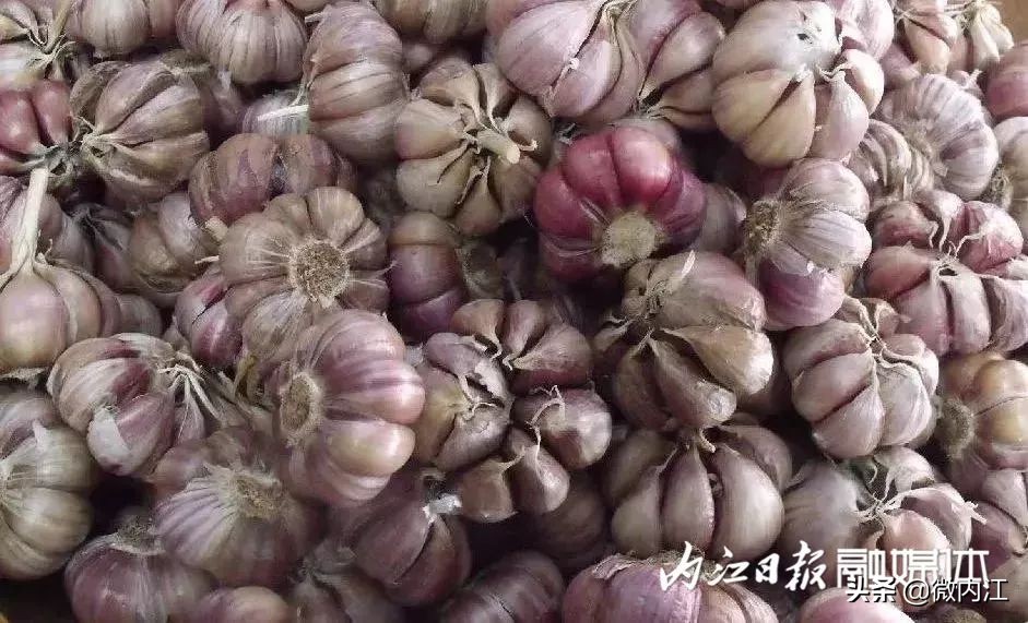 内江增长迅速,内江继续前进