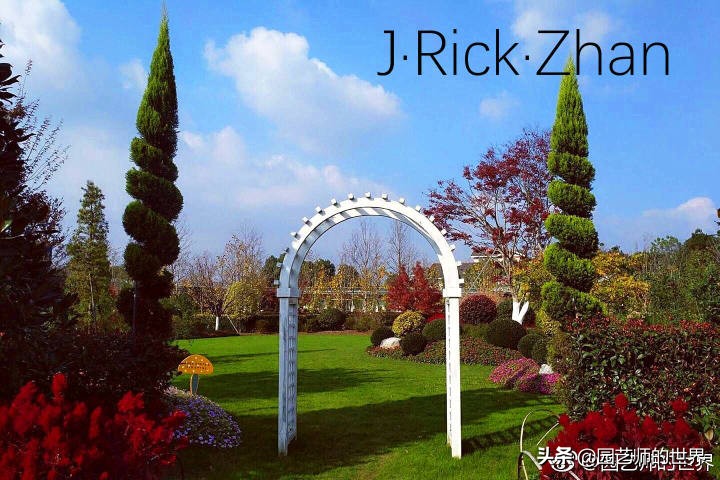 高尔夫果岭草坪家庭院子种植,麦冬草坪种植方法和注意事项