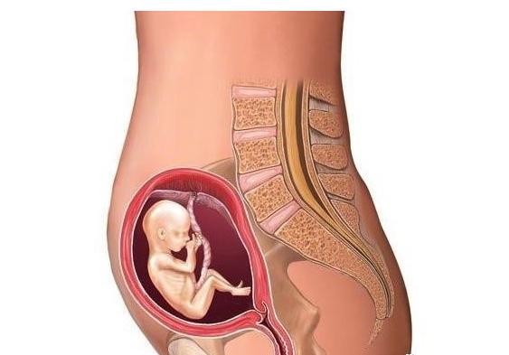 孕期发育全过程注意事项,孕期经验干货50件怀孕才知道的事