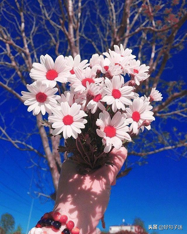 早安经典语录发朋友圈,早安正能量接地气简单语录