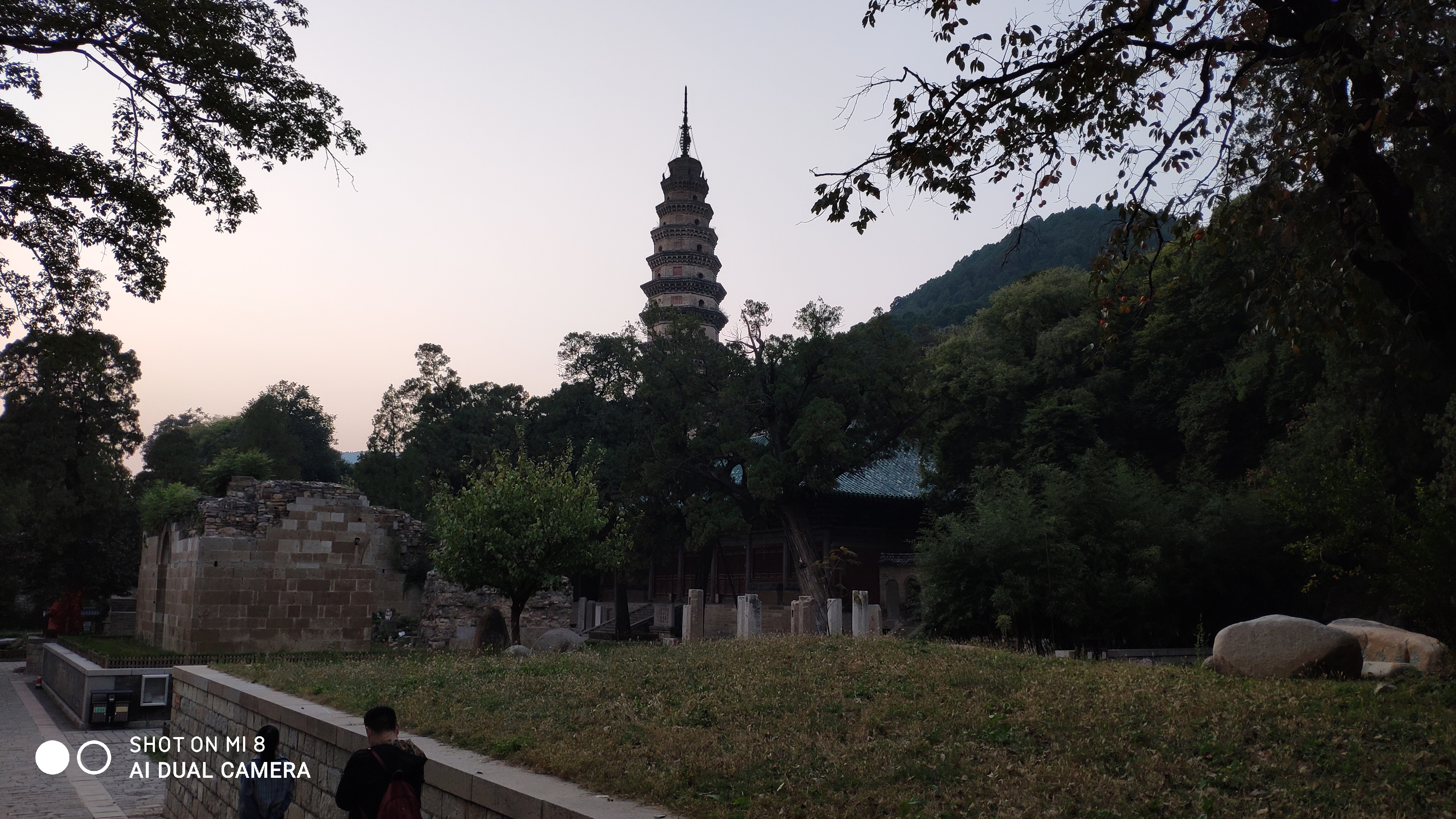 去济南灵岩寺什么必看,济南灵岩寺神树