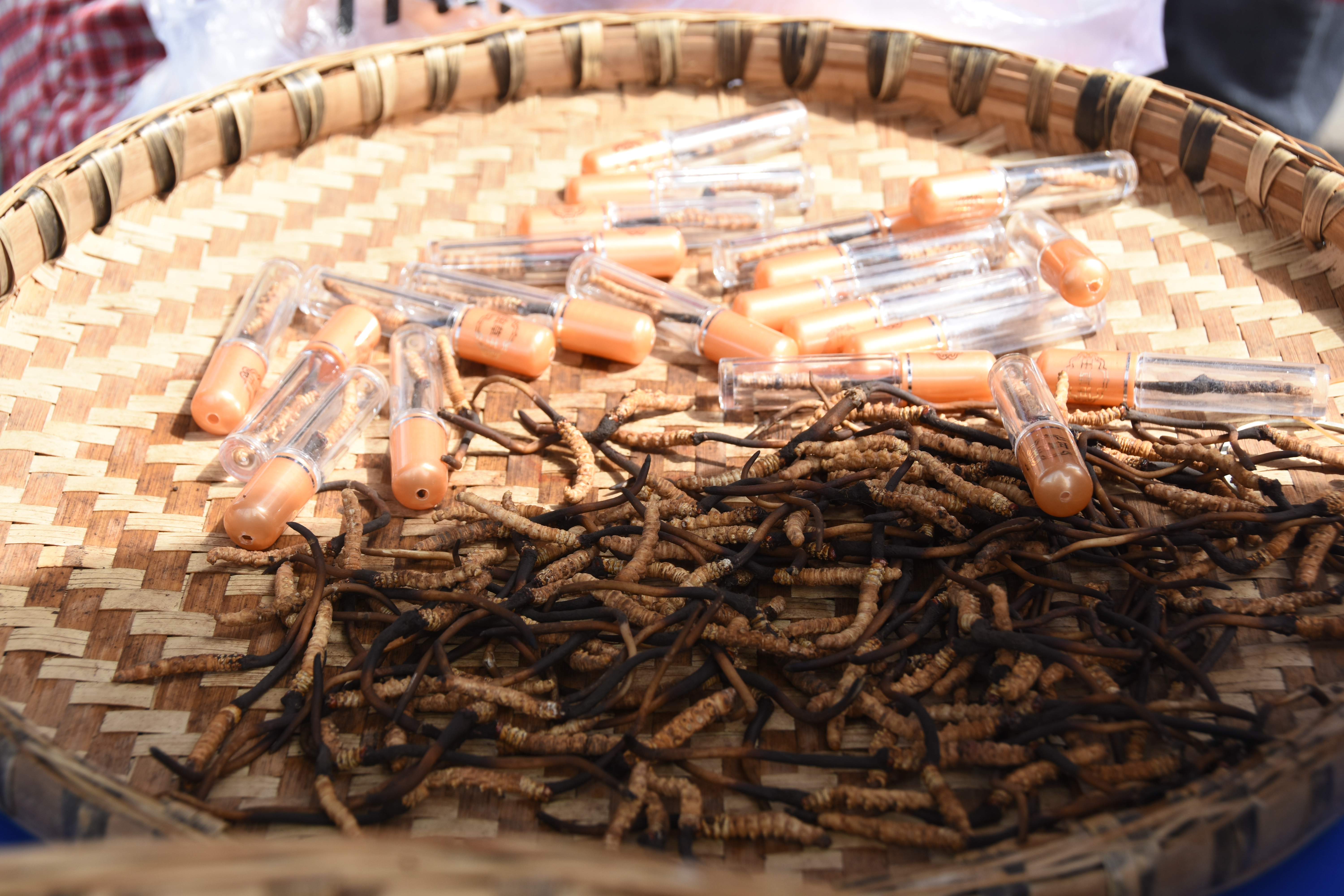 逆势上扬乘风破浪再出发,逆势上扬扬帆济沧海