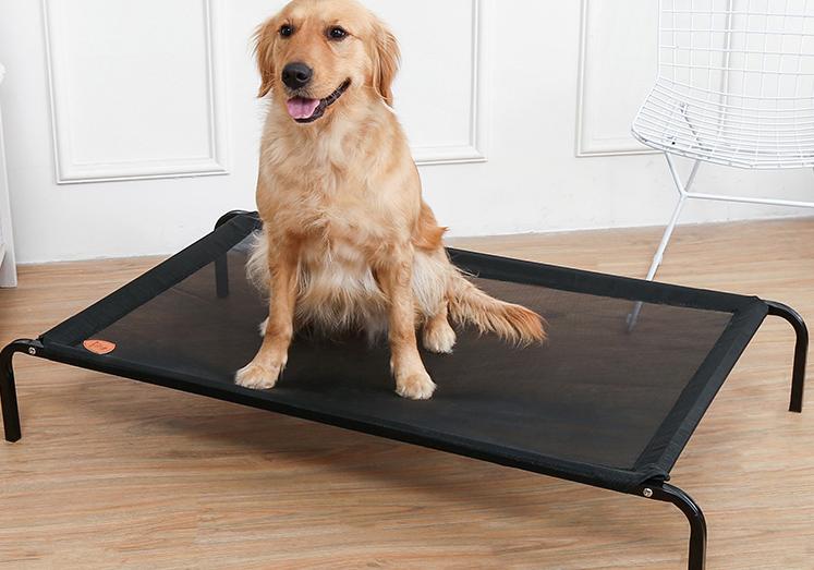 养狗人都要知道的省钱小妙招,月薪3000养狗省钱秘籍