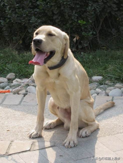 空囊最主要的原因是什么,空窝的原因