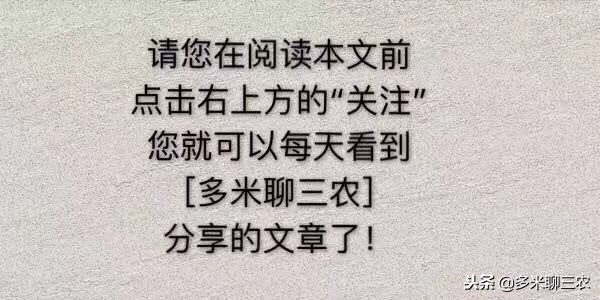 为什么现在的年轻人不喜欢串亲戚,年轻人回农村过年躲避亲戚
