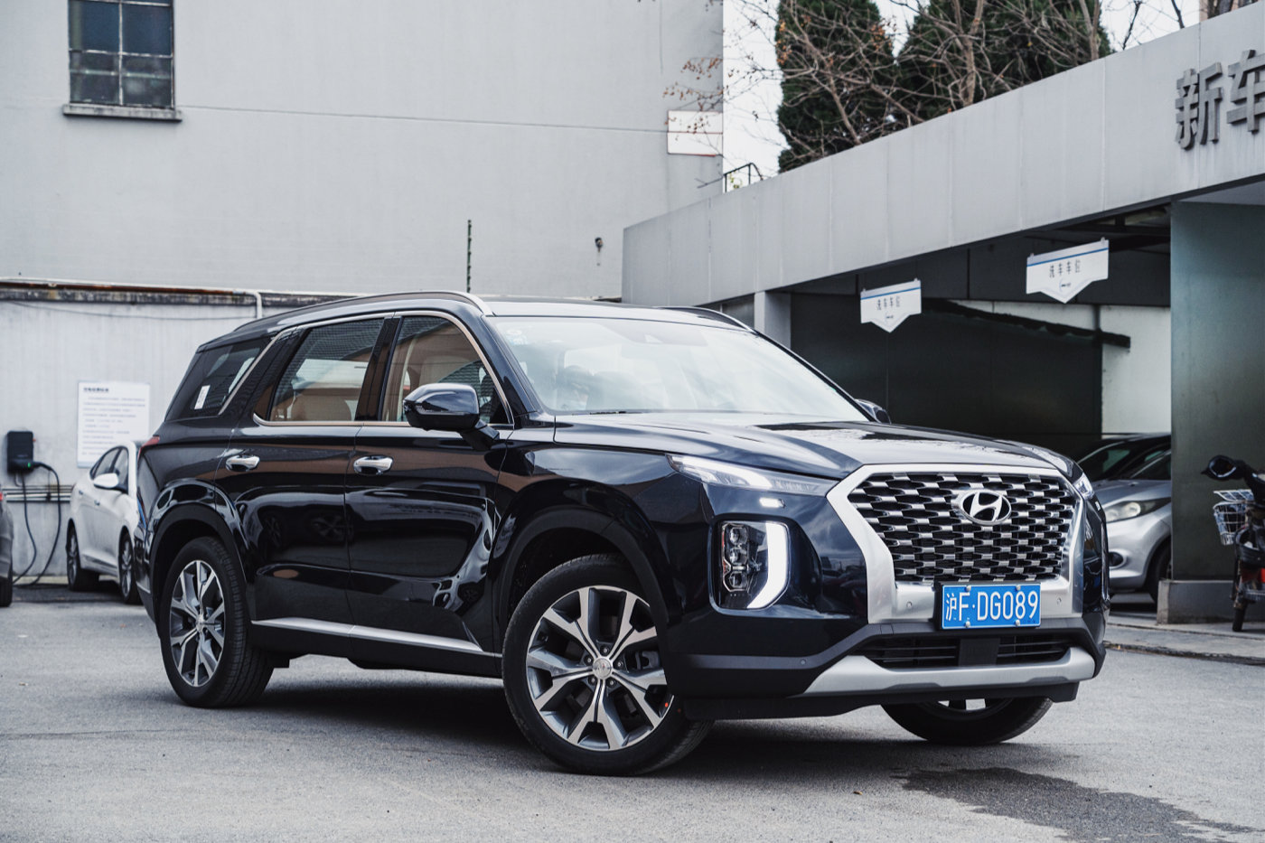 北京现代palisade试驾视频,现代帕里斯帝海外试驾体验