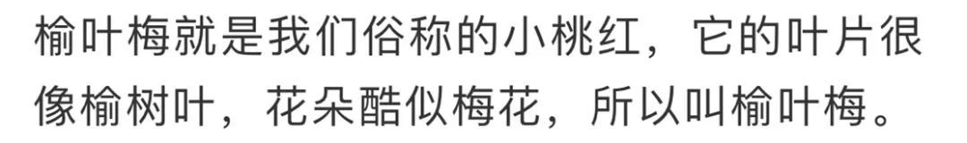 看到花的时候,不知是什么花?那就收下这份百花图谱