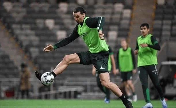 伊布天下足球集锦,足球伊布复出