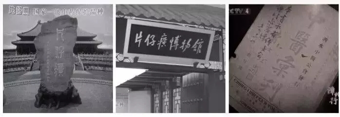 王艳宋丹丹黄晓明古装电视剧,王艳杨紫张铁林