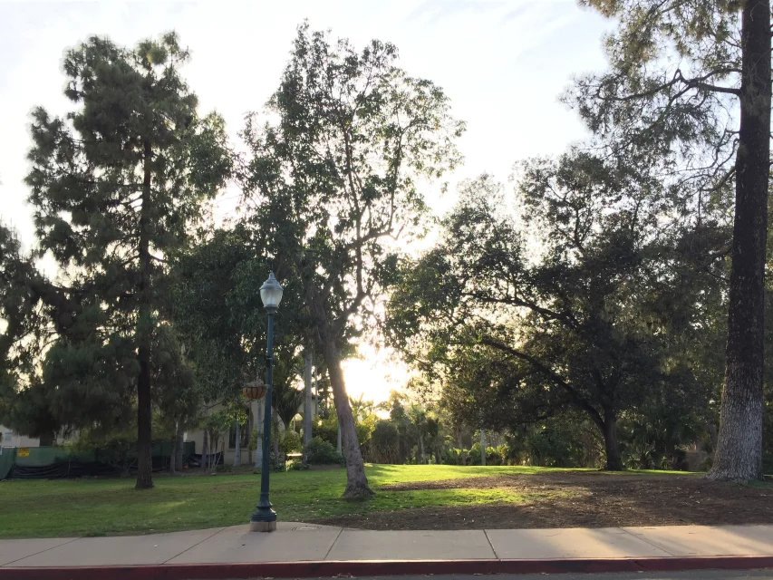 去美国读法学硕士有前途吗,美国东北大学软件工程硕士排名