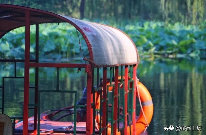 转瞬夏将至,转眼夏日已尽