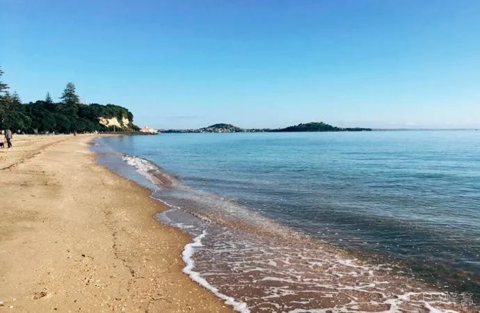 难忘的新西兰之行,在新西兰难忘的日子