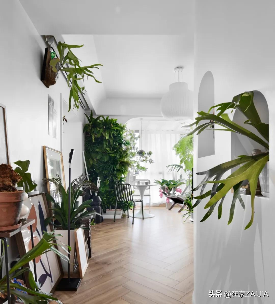 绿植达人爆改70㎡顶层公寓，没有院子却满屋都是花园