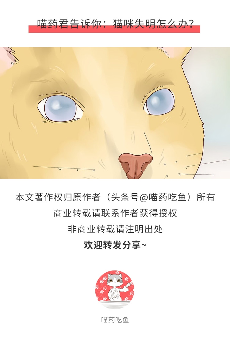 猫咪突然性失明怎么办？铲屎官应该了解这些帮助猫咪安享晚年