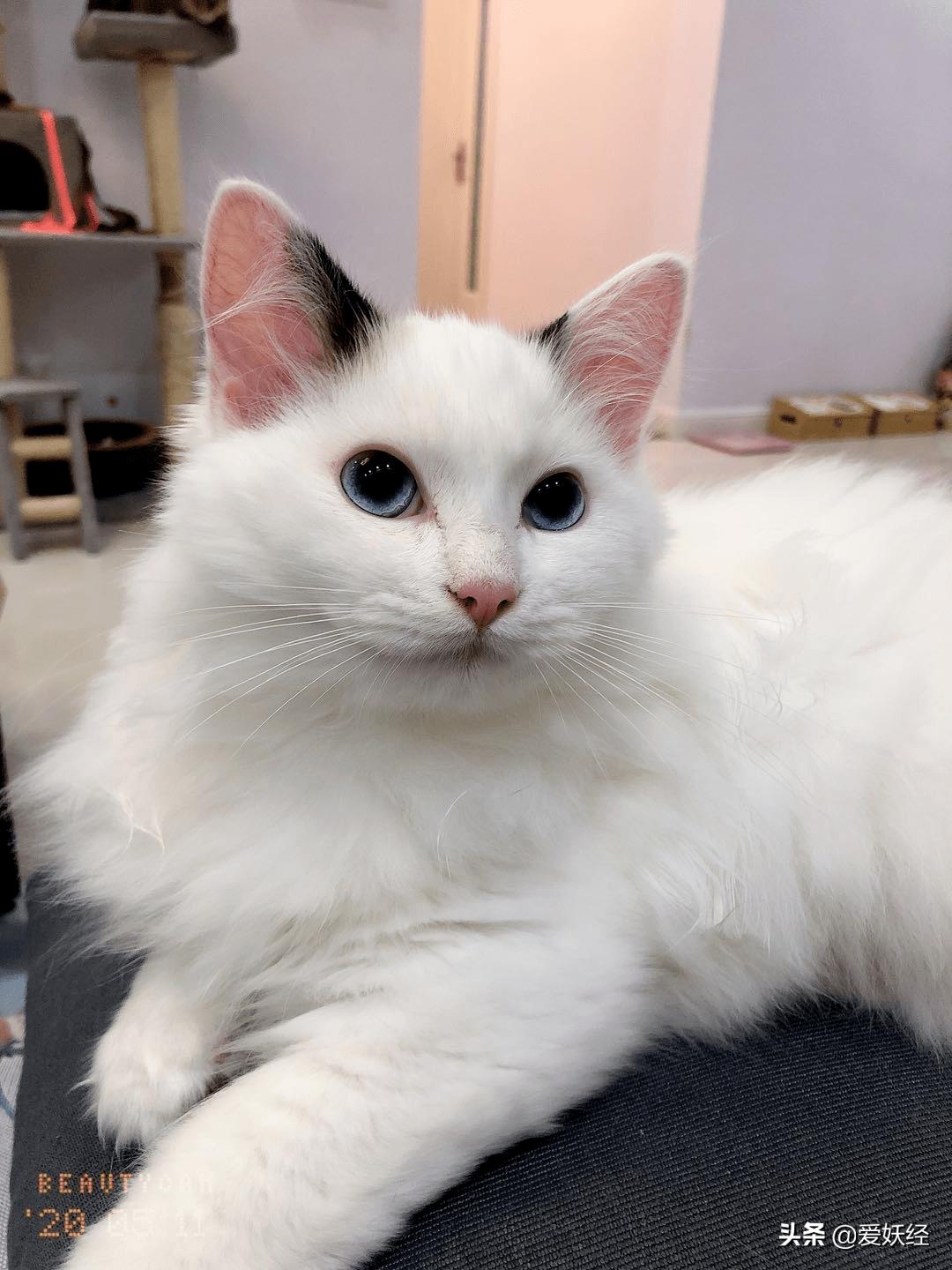 软便精有救了？干了这碗粮，养胃又护肠