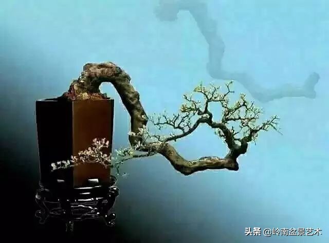 鎮礀缁濆閫㈢敓,鎮礀鐩嗘櫙澶у叏