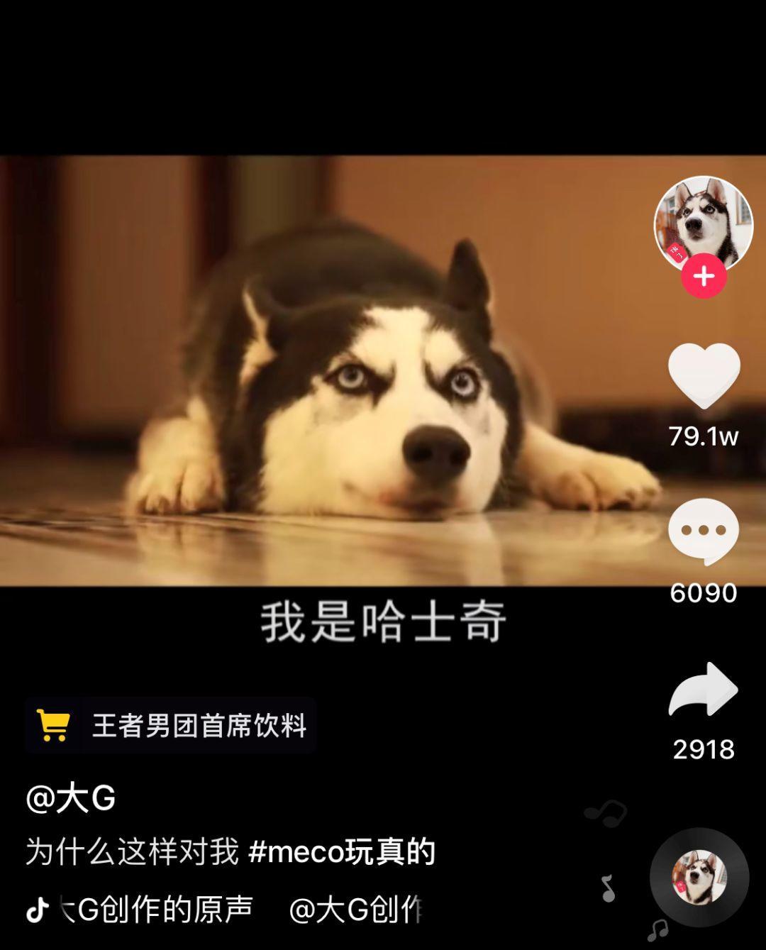 吸粉的小妙招视频,抖音小号养成技巧