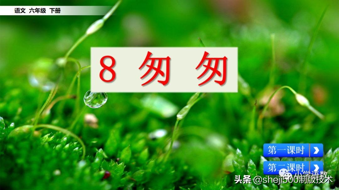 六年级下册语文书8课匆匆的预习,部编版六年级下第八课匆匆讲解