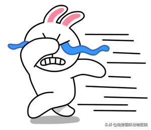 难以言说的疼完整版,猫咪肾结石的症状都有什么