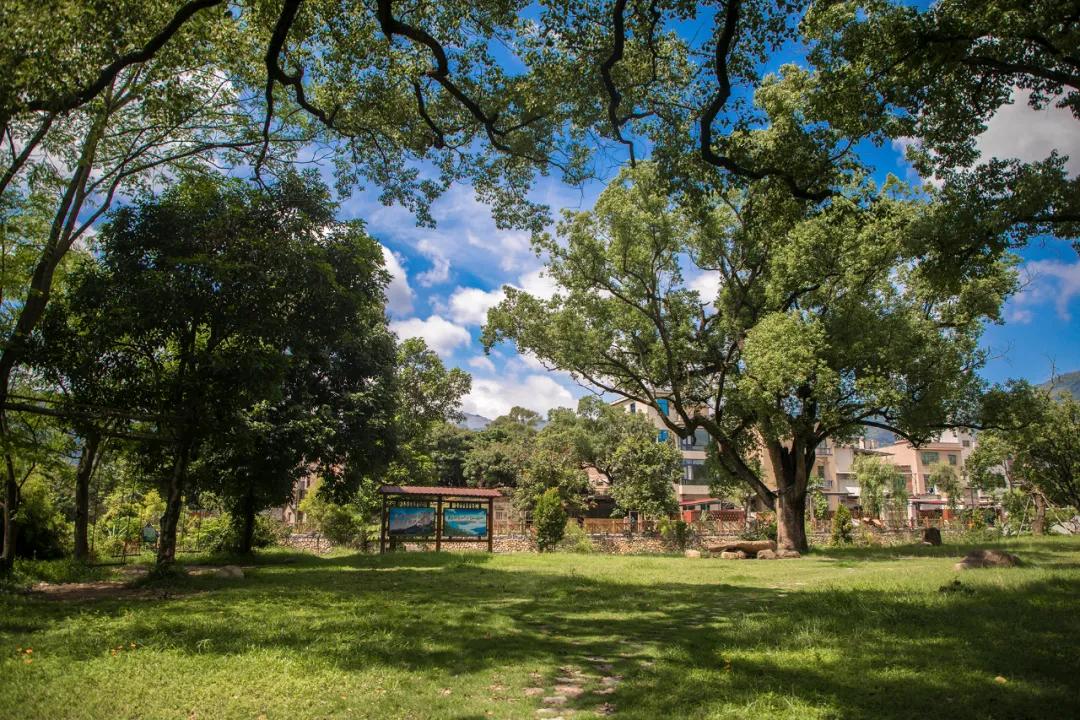 探访林溪山涧的森居之旅,长泰之旅