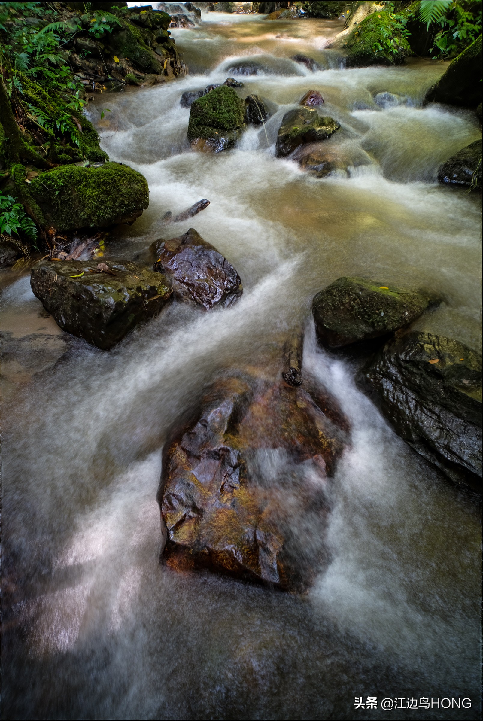溪水潺潺心旷神怡,美景溪水潺潺