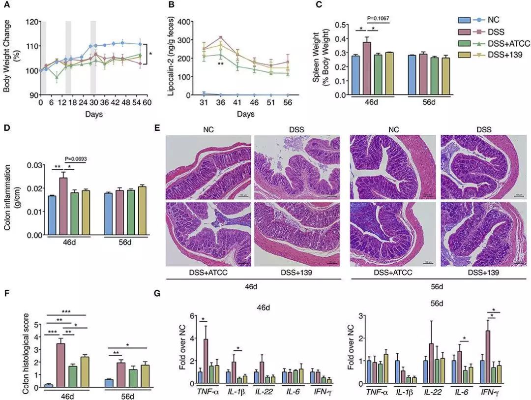 利用宿主分泌的粘蛋白“为食”的Akk菌