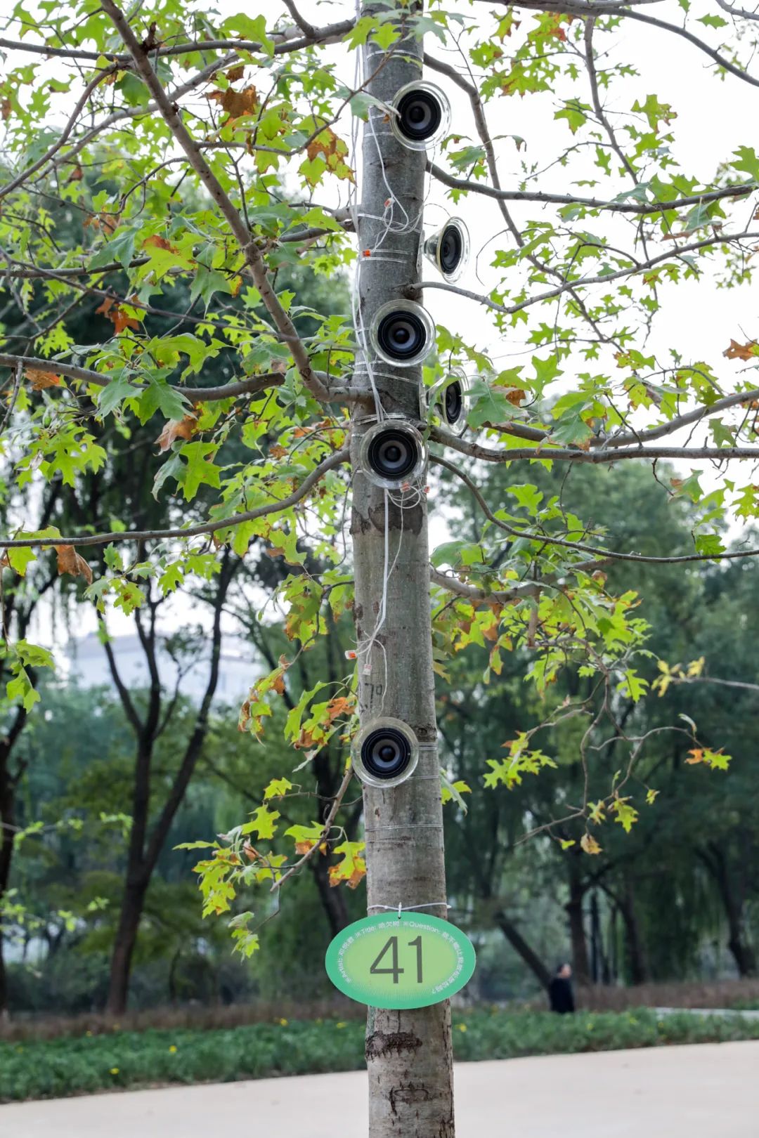 秋天值得逛的地方,秋天最适合旅游的城市推荐