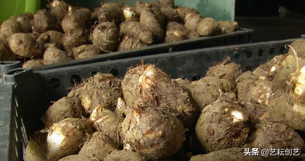 全国农产品地理标志分布地图,全国地理标志农产品