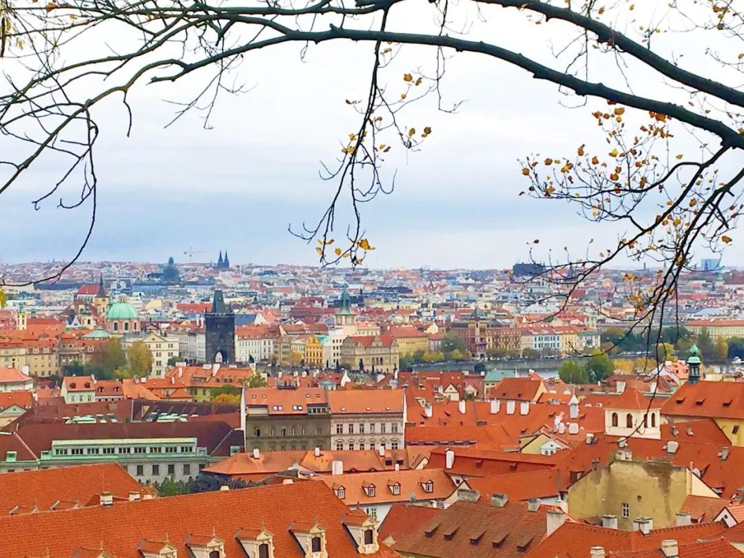 距离五一还有多少天,国外五一假期适合去哪里旅游