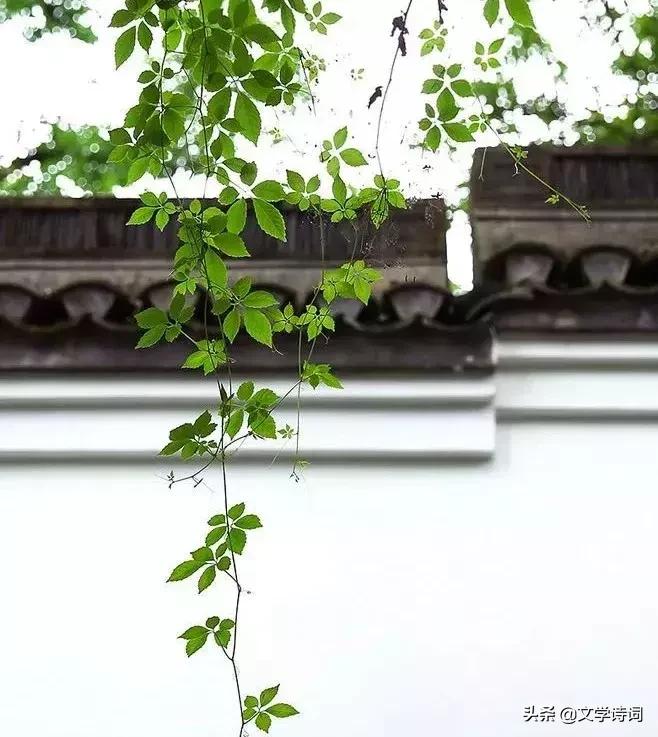 人民日报总结经常误用的成语,人民日报整理最常误用100个成语