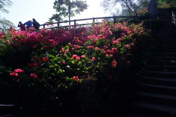 北海旅游攻略涠洲岛二天一夜,北海旅游攻略涠洲岛海鲜攻略