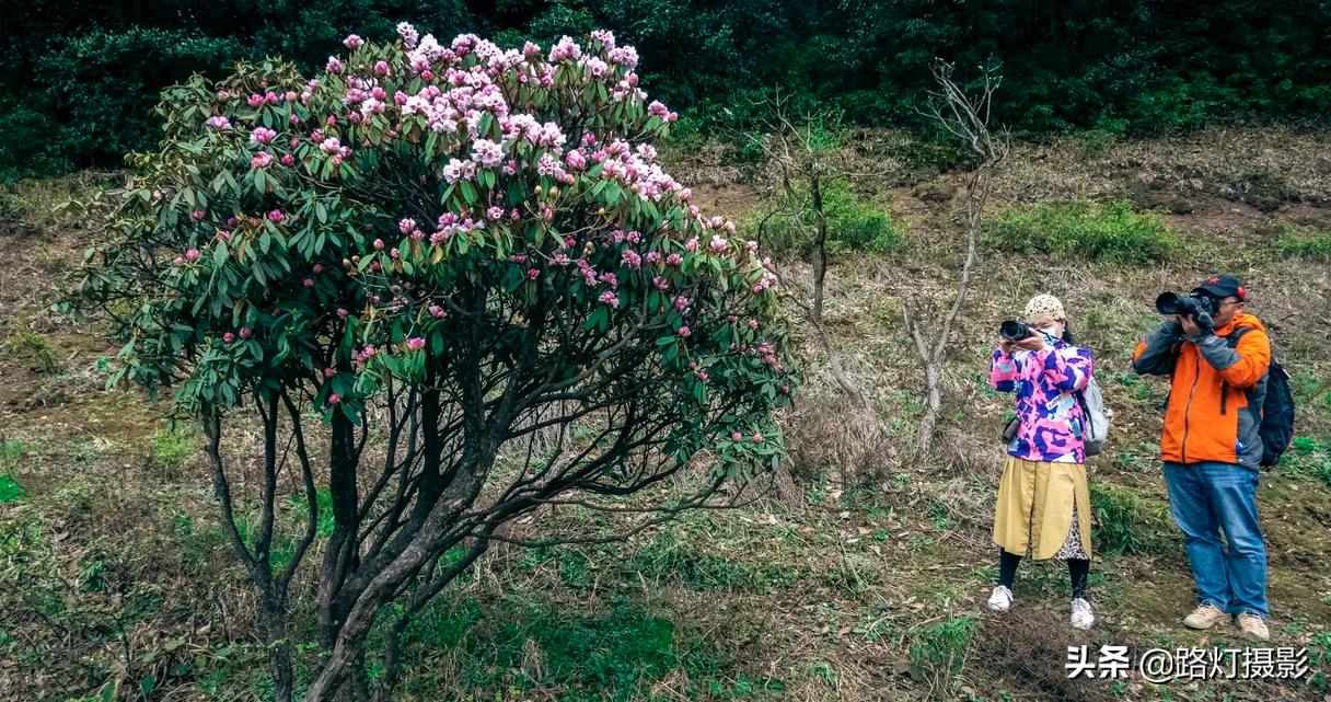 五一小长假绝美旅行地,五一小长假2-3天短途旅游推荐