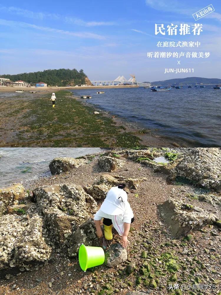 大长山岛民宿攻略,大长山岛民宿推荐第一名