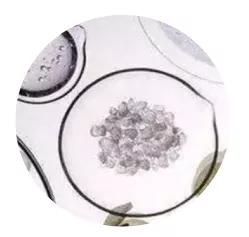 抗氧化抗衰老精华测评,平价抗衰老精华哪种好