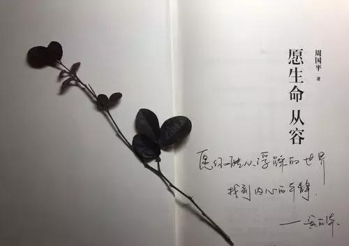 自己很浮躁如何能静心不浮躁,如何克服浮躁的情绪