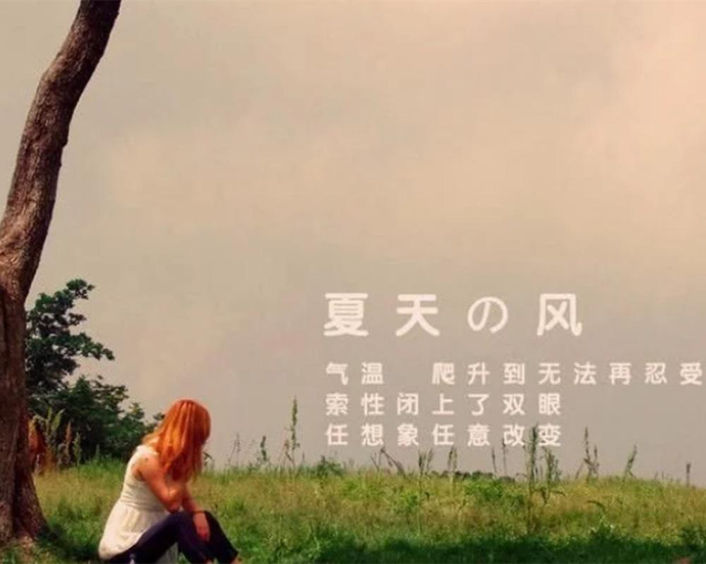 夏天的风温柔懒懒的海风文案,温柔懒懒的海风免费阅读全文