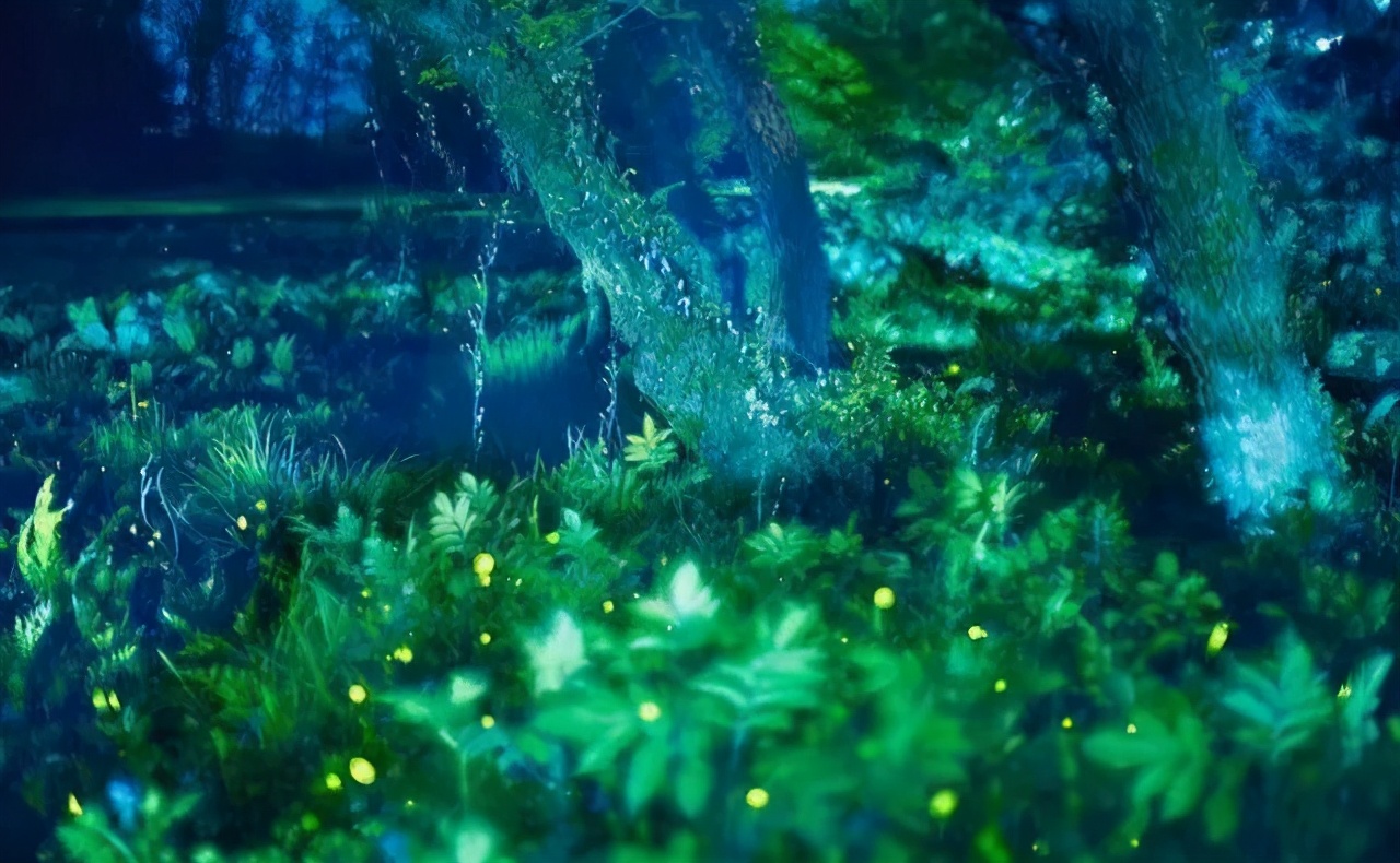 丽水上热搜,浙江丽水现萤火虫星海