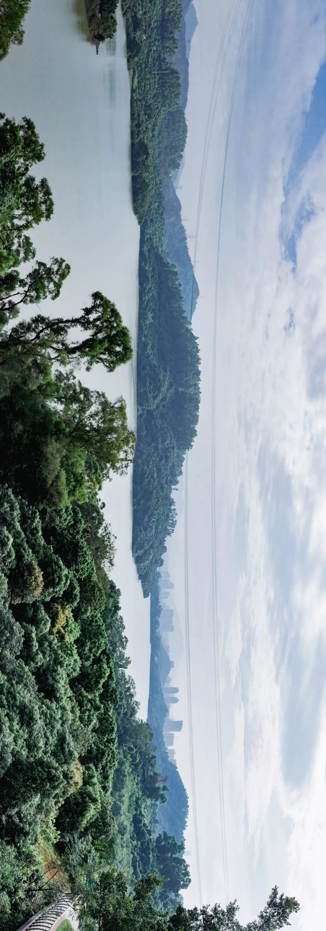 又发现深圳一个“绝美打卡地”!“淘金”绿道,人少免费